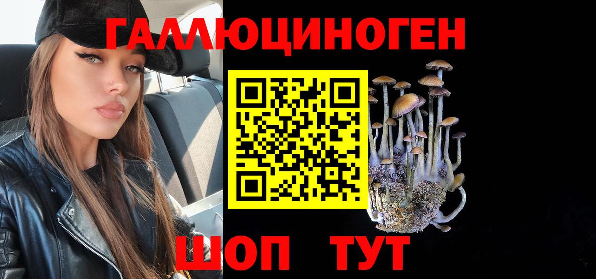 Псилоцибиновые грибы GOLDEN TEACHER Шали