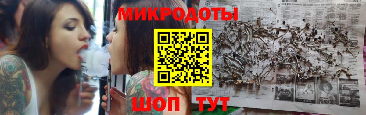 Шали  Псилоцибиновые грибы Psilocybine cubensis  Вход с VPN 